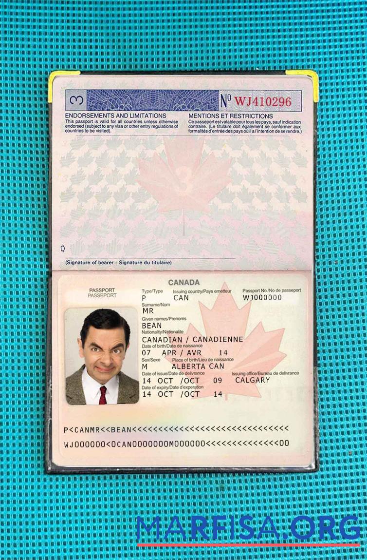 Printable Canada passport (2002 2010) photo look download for verification